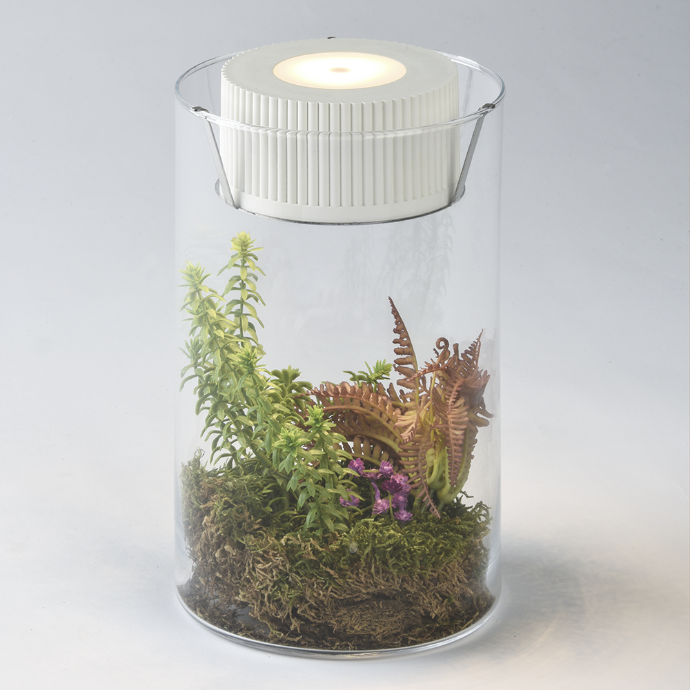 toqueglass5 design arredo