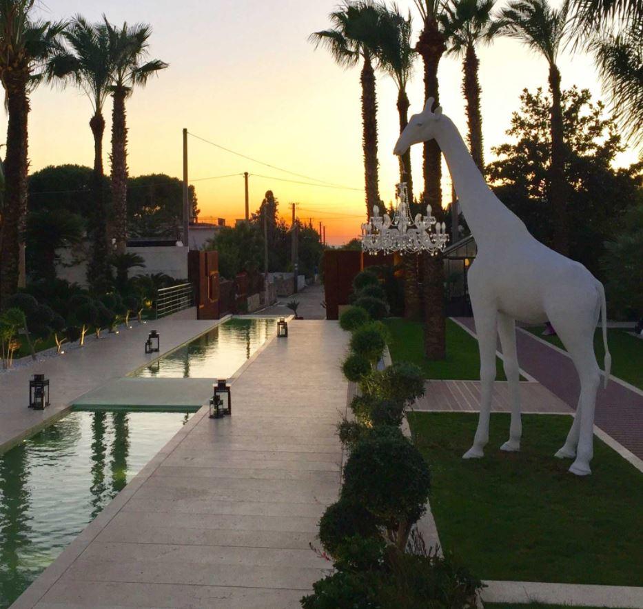 giraffa con lampadario