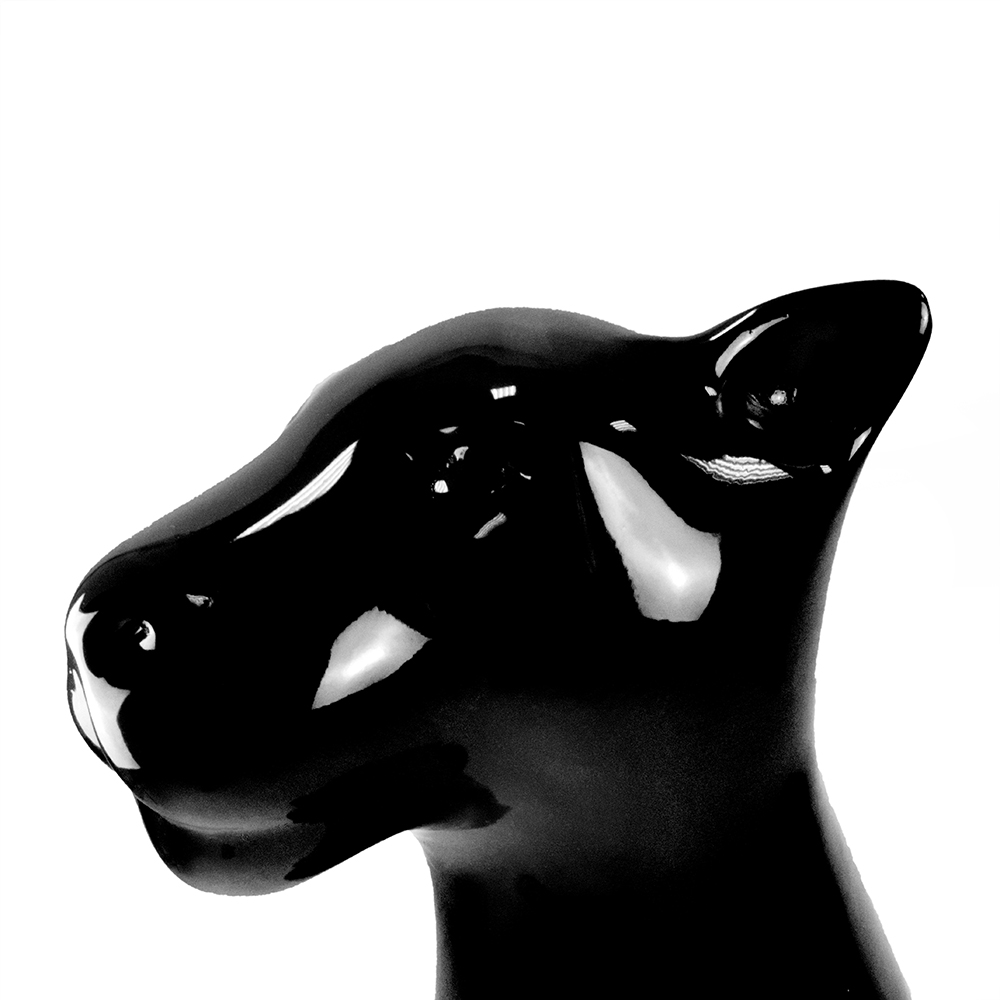 kira-head-black-edonart